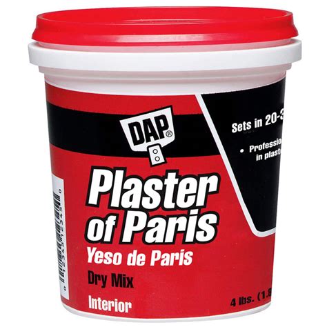Dap® Plaster of Paris, Size: 4 lb | Michaels