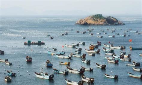 东海全面开渔！海鲜最便宜的时候来了，可正宗的舟山带鱼要怎么辨别？