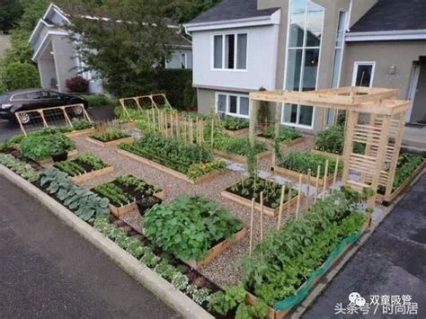 花园就是菜园，菜园就是花园 - 知乎