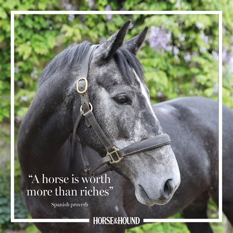 Famous Pony Quotes Tony Robbins Quote Equus Plus