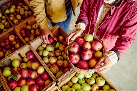 Farms, Orchards & Pick-Your-Own - Visit Maine