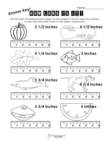 Reading A Metric Ruler Worksheet - Proworksheet