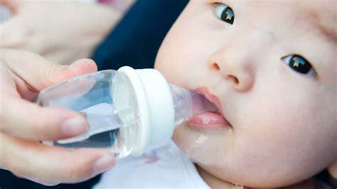 Mixing Baby Formula 的图像结果