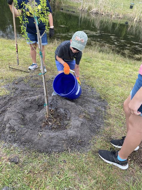 Image result for Community Tree-Planting