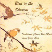Bird in the Shadow: Tseng Yung Ching: Amazon.in: Music}