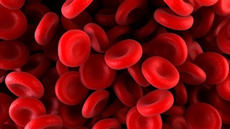 Outside | In: Iron-Deficiency Anemia | Everyday Health