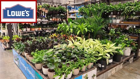 Image result for Lowe's Flower Garden