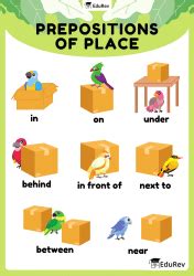 Infographics: The Preposition - English Grammar Class 7 PDF Download
