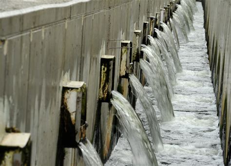 Image result for Processing Engineering