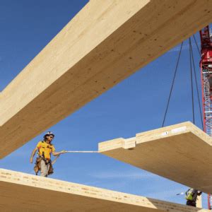 Timber Technology 的图像结果