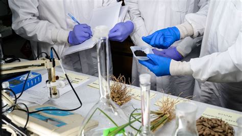 Image result for Environmental Engineering Graduate Programs