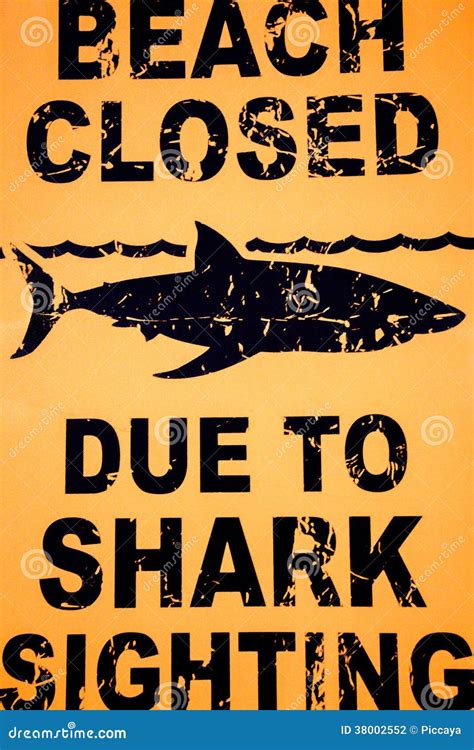 Warning Sign: Beach Closed Due To Shark Sighting. Stock Illustration ...