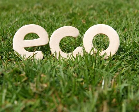 eco- 的图像结果
