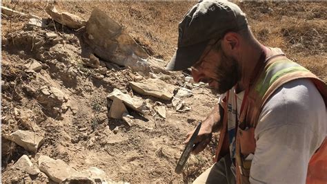 California earthquakes in July reveal mysterious fossil in Simi Valley