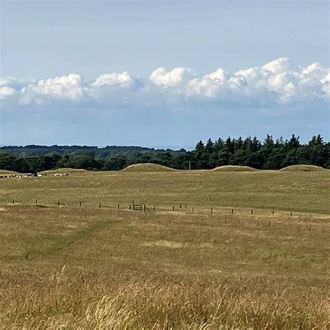 PRIDDY NINE BARROWS CEMETERY (2024) All You Need to Know BEFORE You Go ...