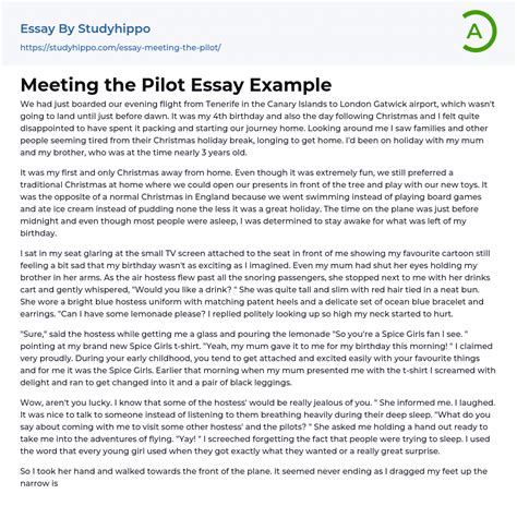 Meeting the Pilot Essay Example | StudyHippo.com