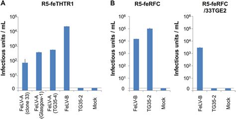 Image result for Alpha Complementation LacZ Assay