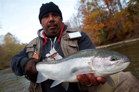 STEELHEAD ALLEY OUTFITTERS (2026) All You Need to Know BEFORE You Go ...