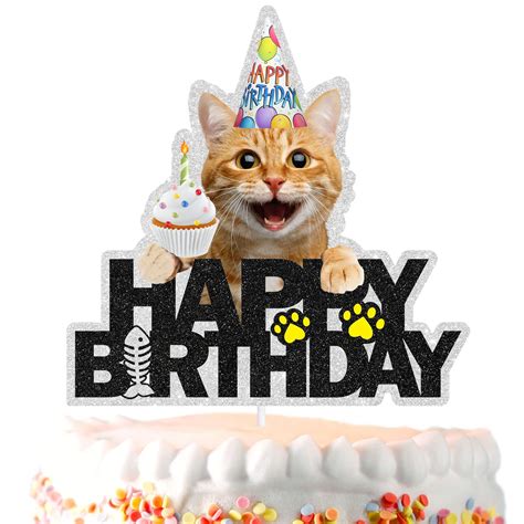Happy Birthday Funny Orange Cat