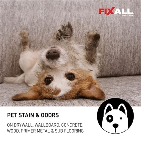 FixAll White Flat Interior/Exterior Porch and Floor paint (5-Gallon ...