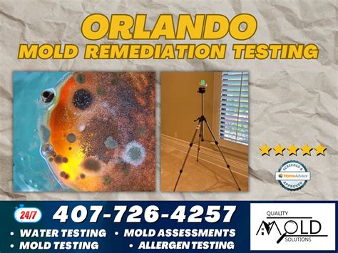 Image result for Mold Remediation Testing