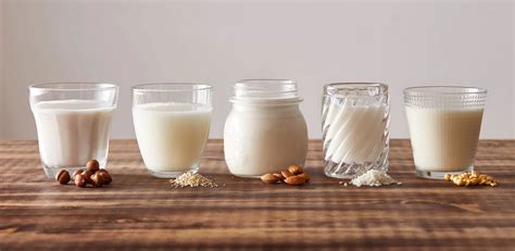 Milk Alternatives: Exploring Non-Dairy Options - AskMeAll