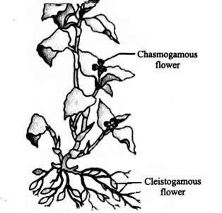 Recognise the figure and find out the correct matching