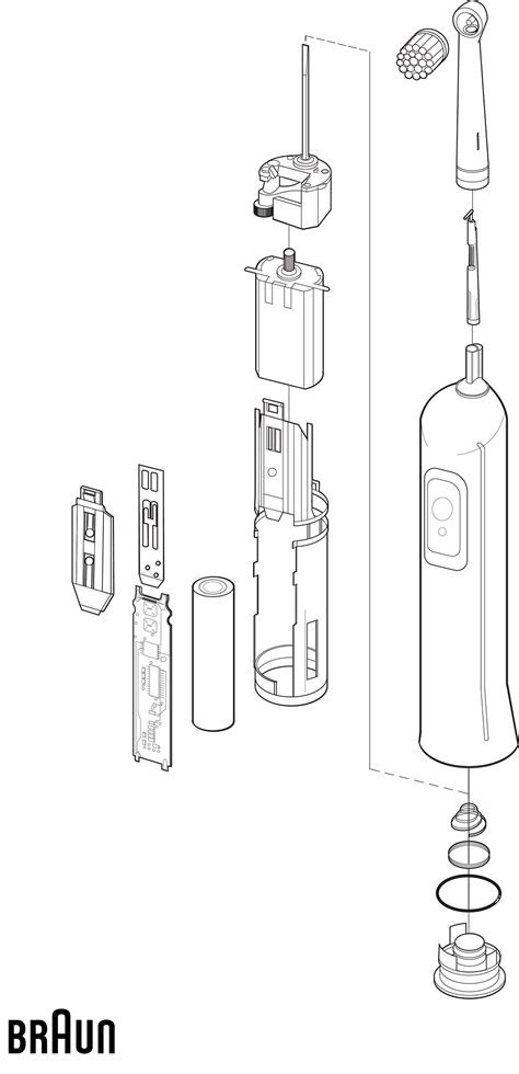 Image result for Toothbrush Syntactic Exploded-View