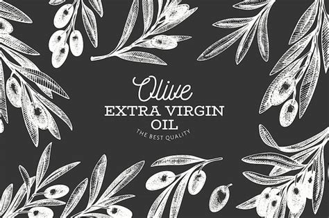 Handgezeichnete Olive Branch Banner Vorlage. | Premium Vektor