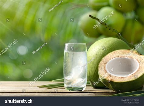 1 035 Pulp Water Coconut Images, Stock Photos, 3D objects, & Vectors | Shutterstock
