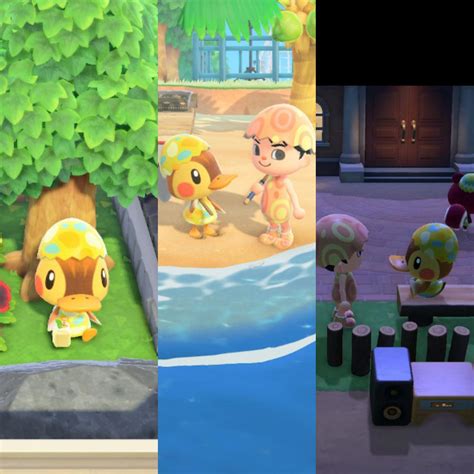 5364 best Molly images on Pholder | Animal Crossing, Aww and Goddesses