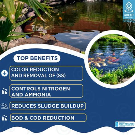 WATER BODIES REVITALIZATION MICROBIAL CULTURE - Nallah Treatment ...