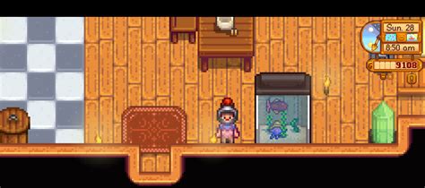 You can put hats on the sea urchins in the fish tank!! : r/StardewValley