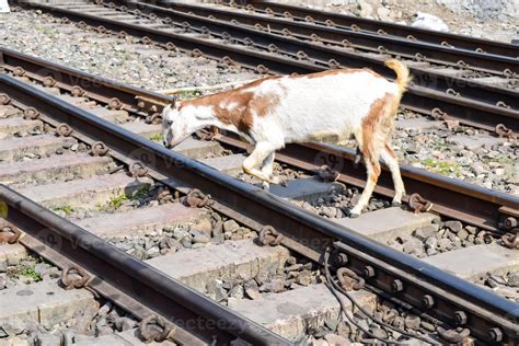 Image result for Passenger Train Loading Middle Track