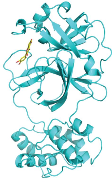Protein Complex Structure 的图像结果