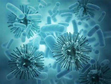病毒与细菌的微观世界概念背景插画图片素材下载_jpg格式_熊猫办公