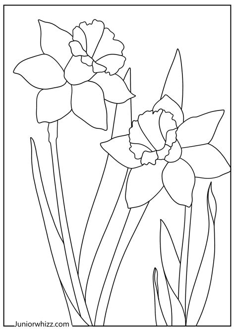 Spring Flowers Coloring Pages (14 Printable PDFs)