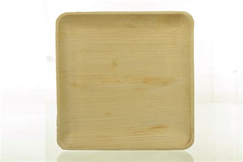 Bollant Areca Plates Pack of 10 (100% Natural eco Friendly Plates - Bio ...