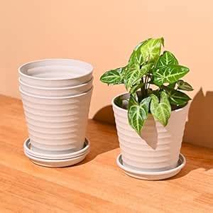 Eha Set of 4 Earth-Friendly Linea 5.5" Pots for Plants | Bamboo Based ...