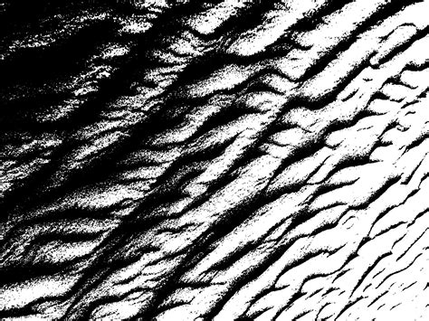 Sand Texture Vector 的图像结果