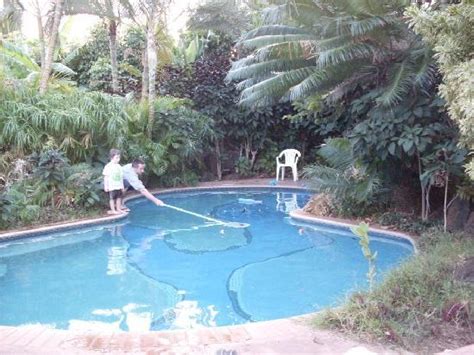 HALE POHAKU BEACHSIDE RESORT (Koloa, Kauai) - Ranch Reviews & Photos ...