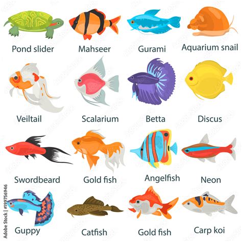 Fish Color Coding 的图像结果