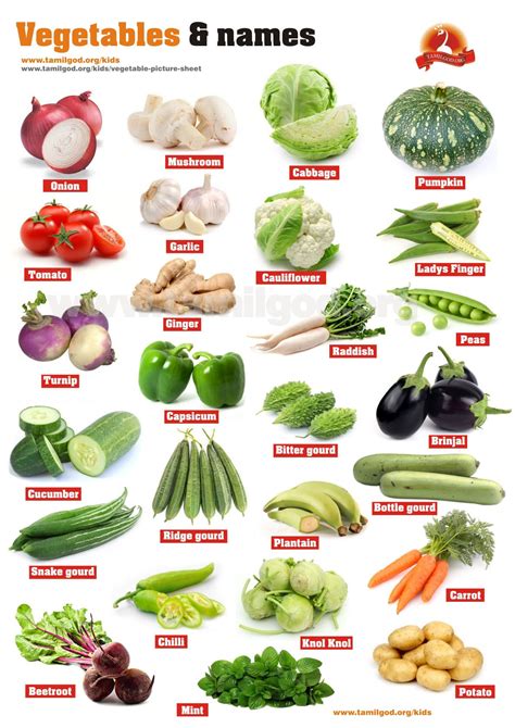 Vegetables Picture Sheet | Vegetable pictures, Vegetables names with ...