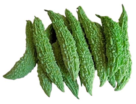 Bitter Gourd – OrgFarm