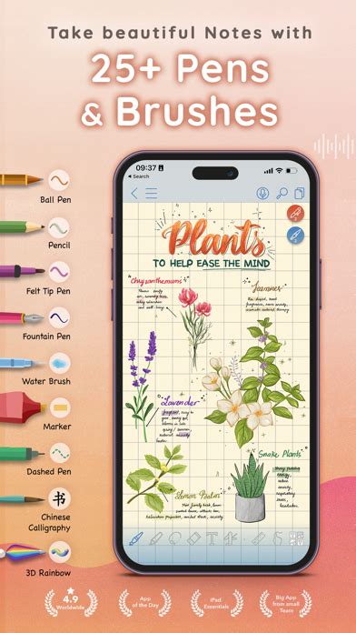 Image result for OneNote vs Collanote