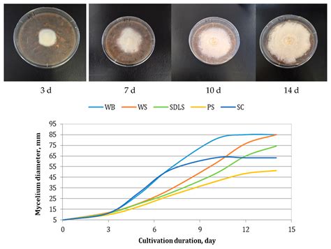 Agro-Industrial Residues as Cost-Effective and Sustainable Substrates ...