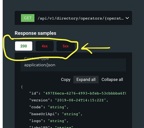 Image result for API Error Code Diagram Example