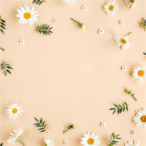 Image result for Flower Background