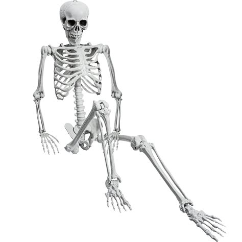 Buy HI-FINE 90cm Halloween Realistic Full Body Skeleton Life Size Human ...