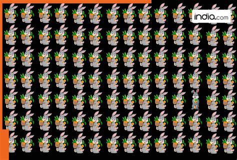 खोजो तो जानें: एक जैसे खरगोशों की भीड़ में छिपा है गाजर पकड़ा खरगोश ...